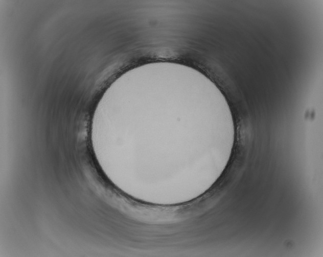 X0000114160032200911051515