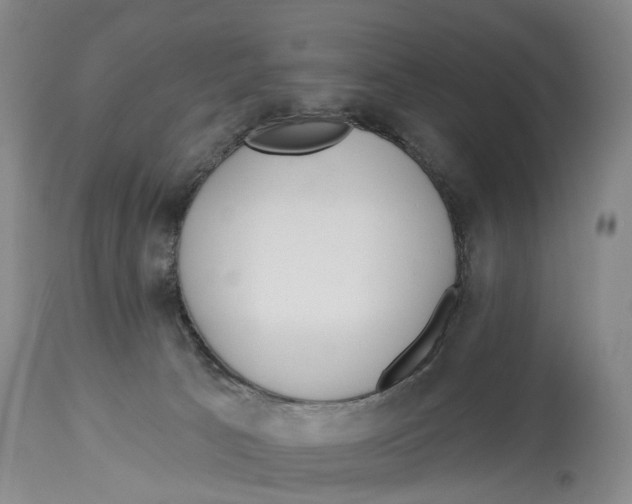 X0000114160033200911051515