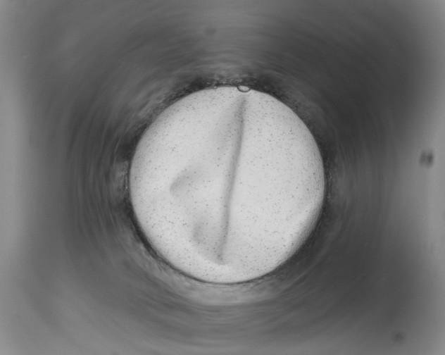 X0000114160034200911051515