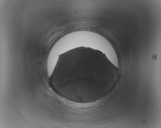 X0000114160035200911051515