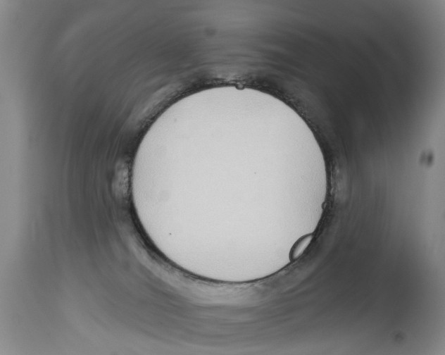 X0000114160036200911051515