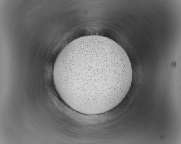 X0000114160038200911051515