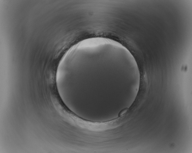 X0000114160039200911051515