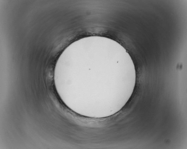 X0000114160040200911051515