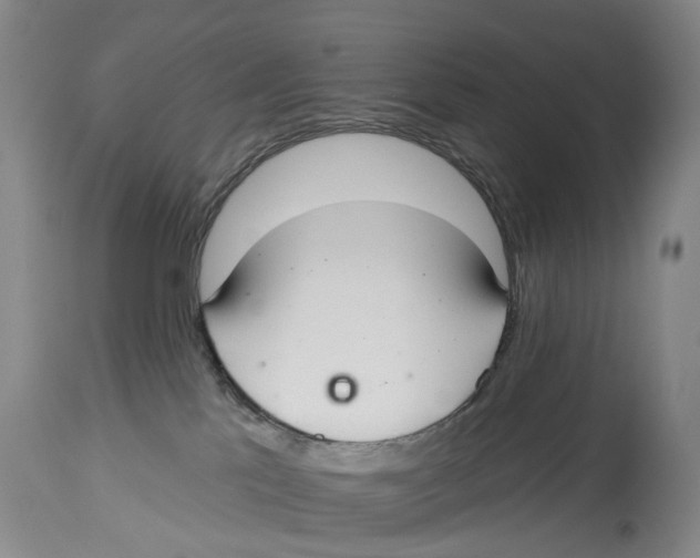 X0000114160041200911051515