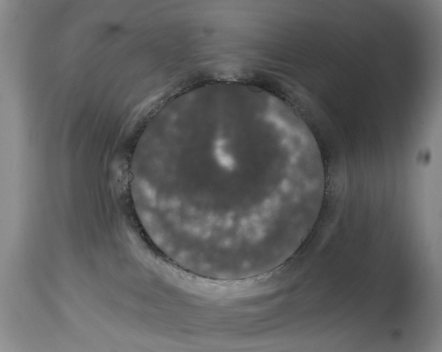 X0000114160043200911051515