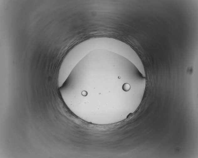 X0000114160045200911051515