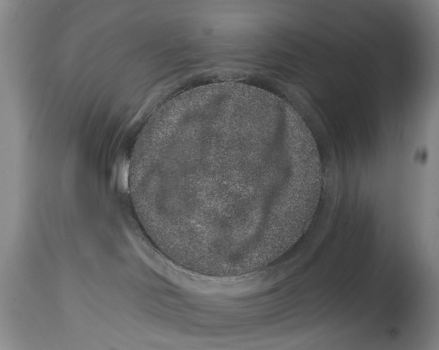 X0000114160046200911051515
