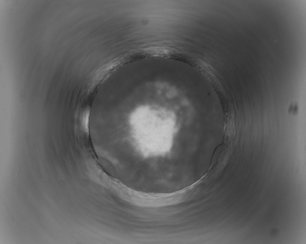 X0000114160047200911051515