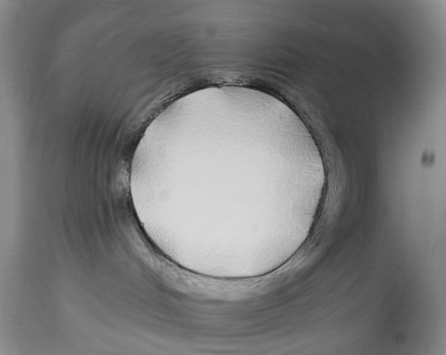X0000114160048200911051515