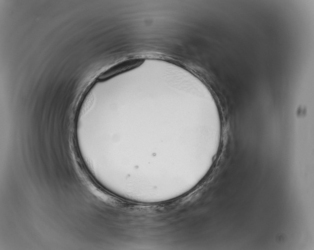 X0000114160049200911051514