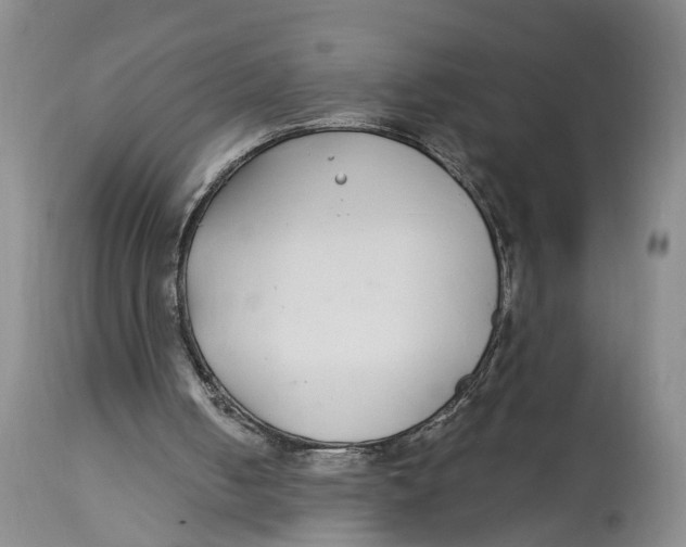 X0000114160050200911051514