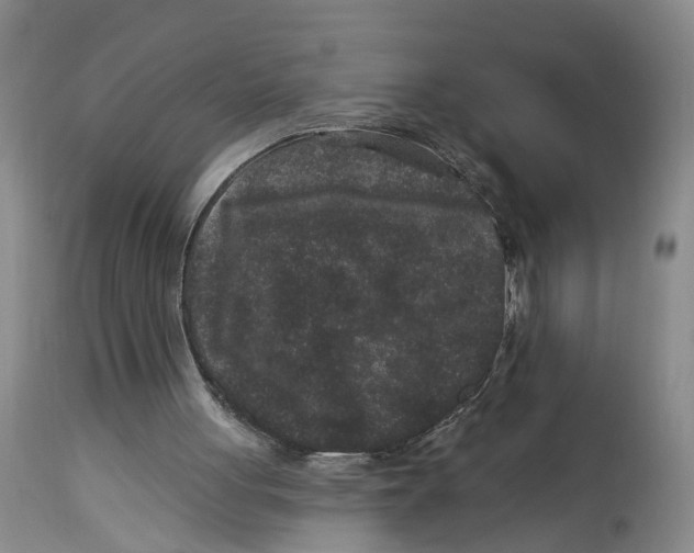 X0000114160051200911051514