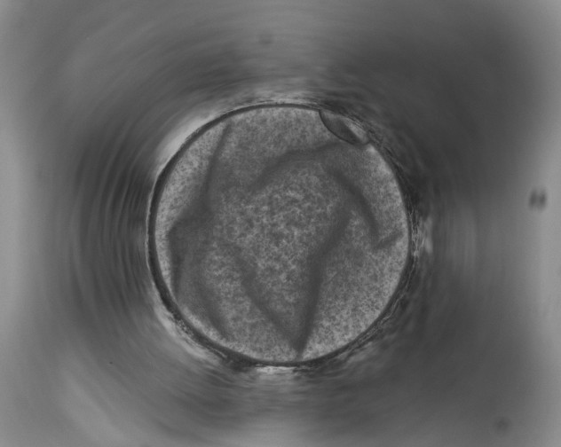 X0000114160052200911051514