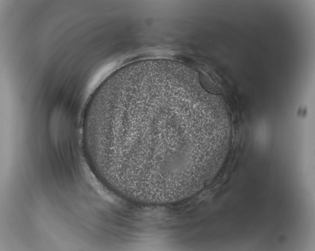 X0000114160053200911051514