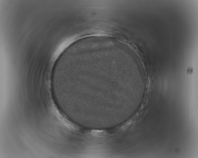 X0000114160055200911051514