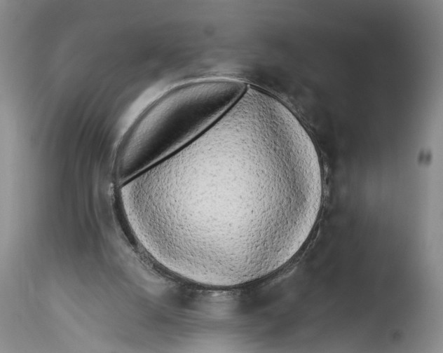 X0000114160056200911051514