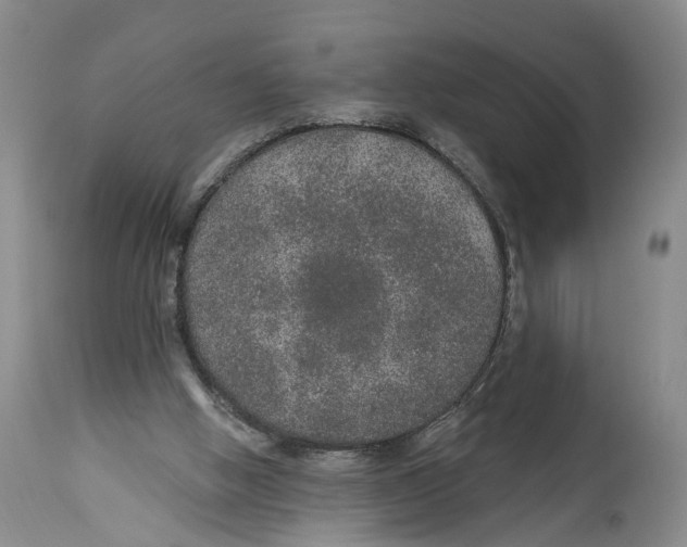 X0000114160058200911051514