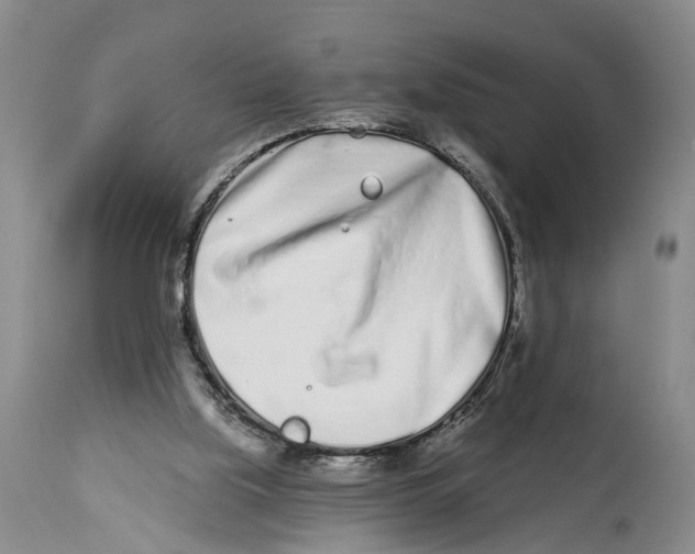 X0000114160059200911051514