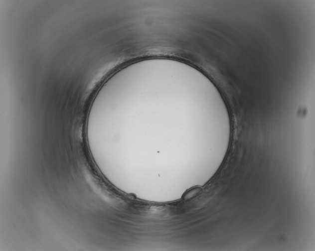 X0000114160060200911051514