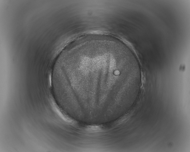 X0000114160061200911051514