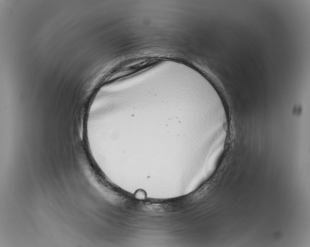 X0000114160062200911051514