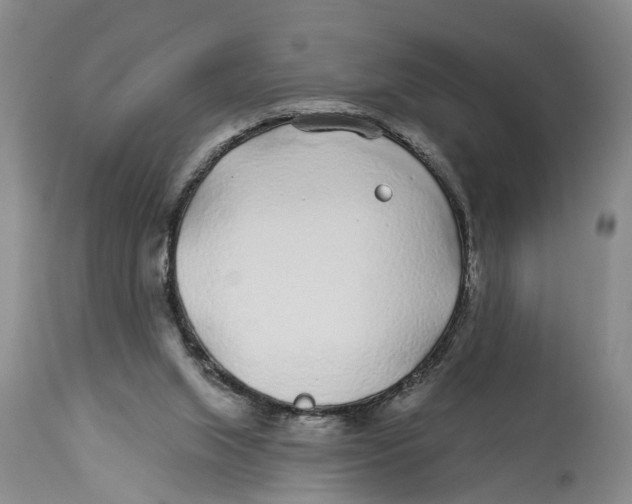 X0000114160063200911051514