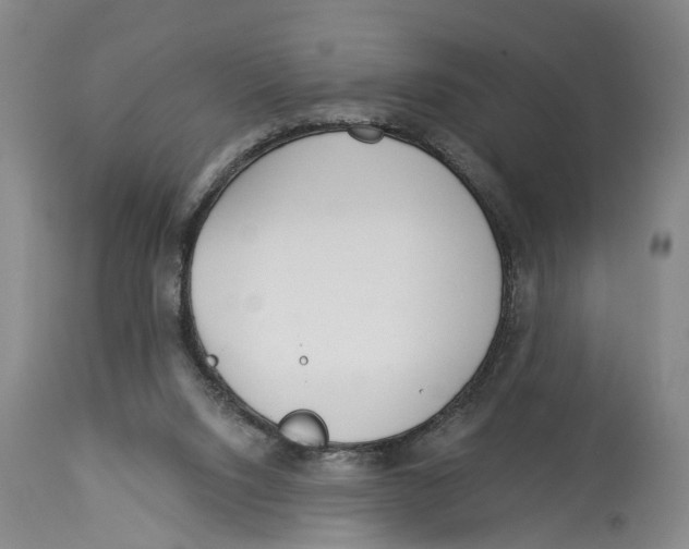 X0000114160064200911051514