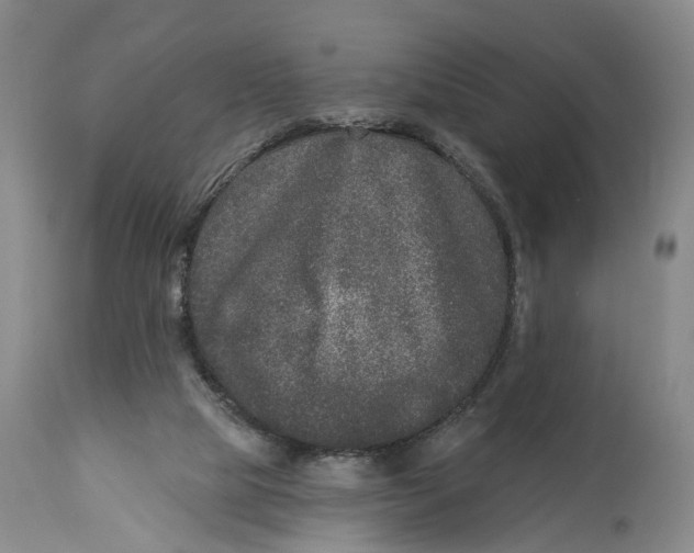X0000114160065200911051514