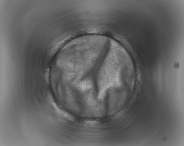 X0000114160066200911051514