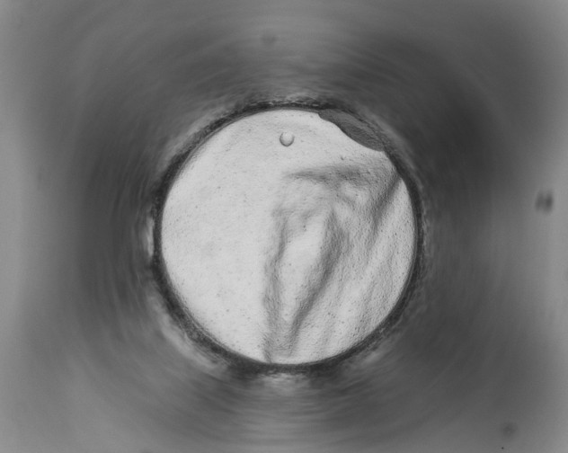 X0000114160067200911051514