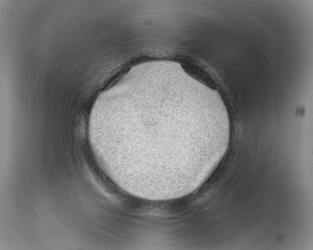 X0000114160069200911051514