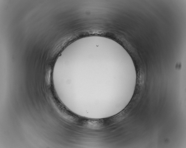 X0000114160070200911051514