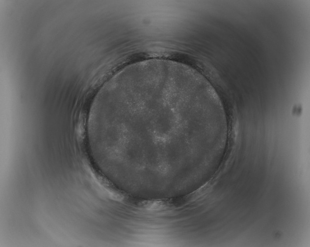 X0000114160074200911051514