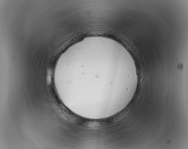X0000114160075200911051514