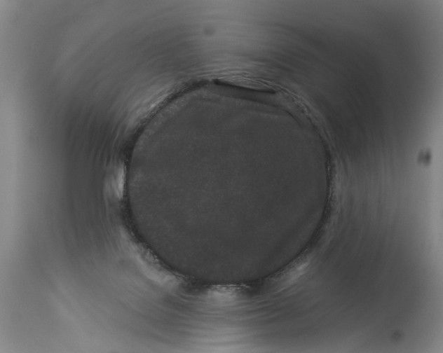 X0000114160076200911051514