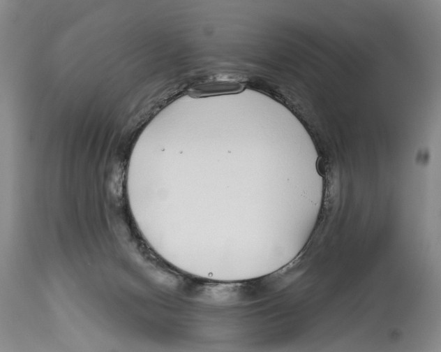 X0000114160078200911051514
