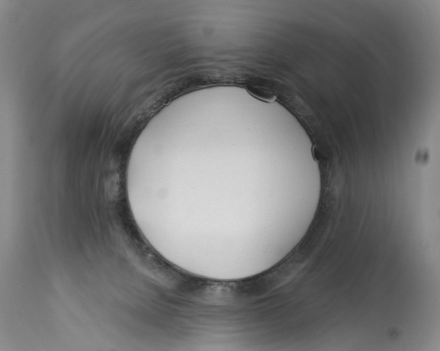 X0000114160080200911051514