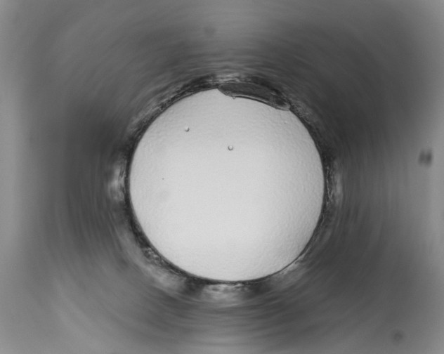 X0000114160082200911051514