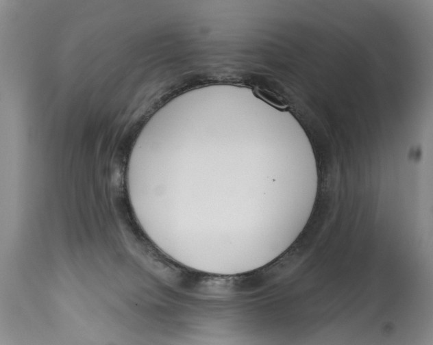 X0000114160084200911051514