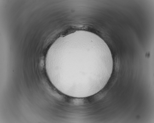 X0000114160085200911051514