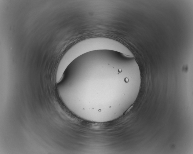 X0000114160088200911051514
