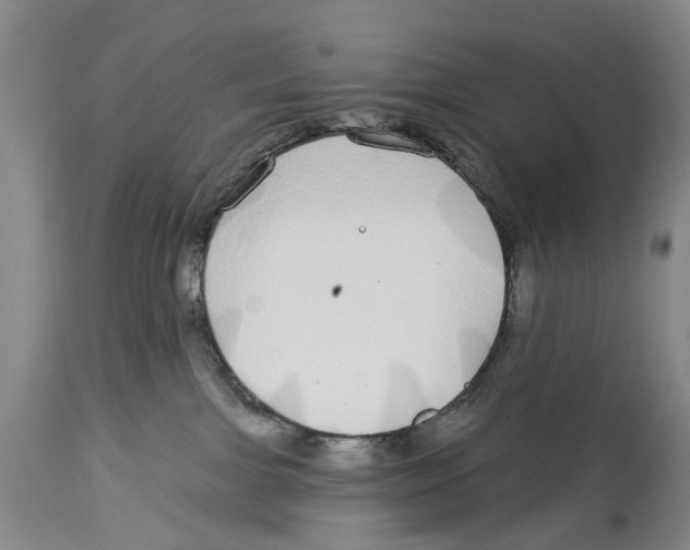 X0000114160091200911051515