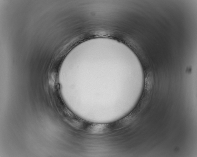 X0000114160093200911051515