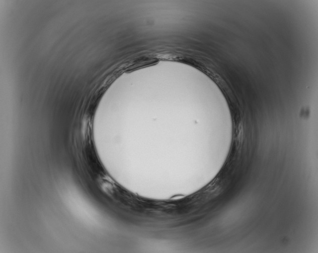 X0000114160095200911051515