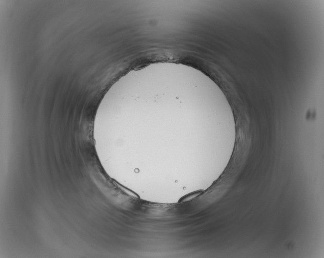 X0000114160096200911051515