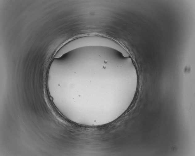 X0000114160097200911051514