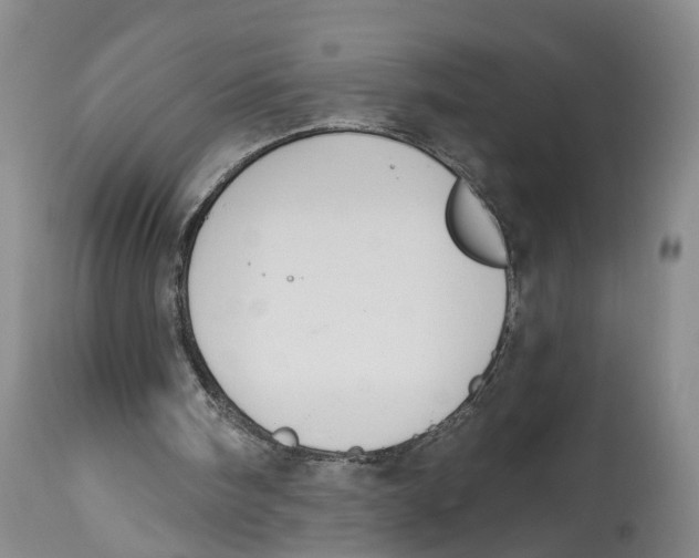 X0000114160098200911051514