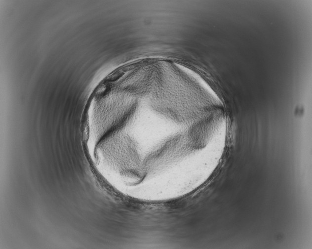X0000114160099200911051514