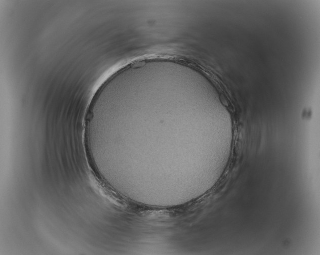 X0000114160100200911051514
